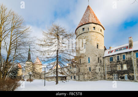 Park at a fortification of Old Tallinn, winter view Stock Photo