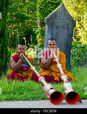 Tashi Lhunpo monks participating in a chanting and cham performance in the UK Stock Photo