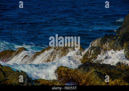 Waves crashing on the rocks of Aruba, ABC caribbean islands Stock Photo