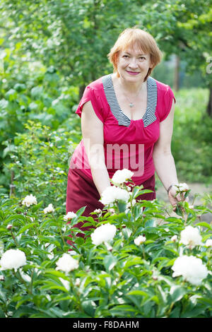 Happy mature woman in paeony plant at garden Stock Photo - Alamy