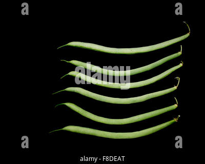 Show veg. French beans, individually isolated on black, at agricultural show. Stock Photo