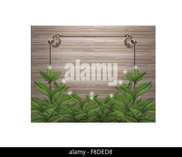 Tea Leafs on wood with frame vector design Stock Vector