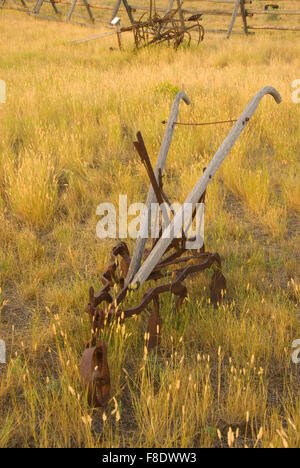 Walking cultivator, Grant-Kohrs Ranch National Historic Site, Montana Stock Photo