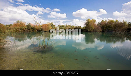 Israel, Northern District Ein Afek Nature Reserve on the Naaman River Photographed in November Stock Photo