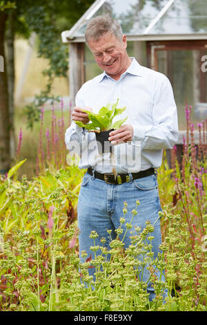 Senior Man Relaxing In Garden At Home Stock Photo