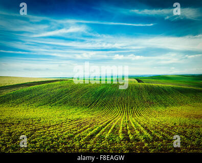 Rolling fields of Moravia Stock Photo - Alamy