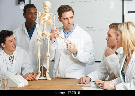 Teacher With Model Of Human Skeleton In Biology Class Stock Photo