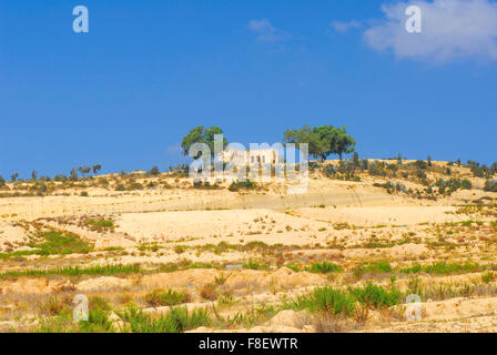 Landscape of arid Tunisian mountains with trees Stock Photo