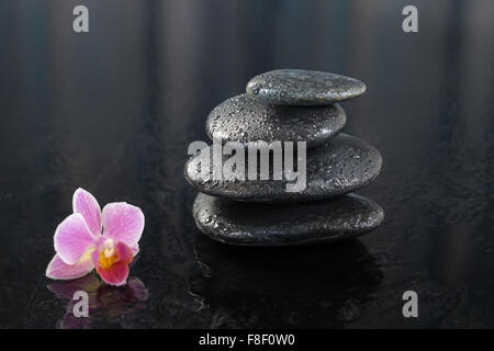 Pink orchid blossom beside  of balanced spa stones, isolated on white background. Stock Photo