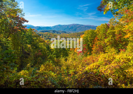 Fall color on the Roaring Fork Motor Nature Trail in Great Smoky Mountains National Park in Tennessee Stock Photo