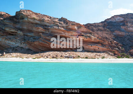 The protected area of Shauab beach, Gulf of Aden, Arabian Sea, Socotra Island, Yemen, Middle East. Unique biodiversity Stock Photo