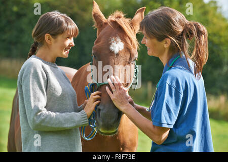 Female Vet Examining Horse In Field With Owner