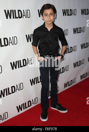 Celebrities attend the WildAid Los Angeles fundraiser 'An Evening in Africa' at Montage Beverly Hills - Arrivals  Featuring: Aidan Gallagher Where: Los Angeles, California, United States When: 07 Nov 2015 Stock Photo