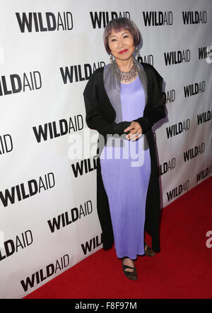 Celebrities attend the WildAid Los Angeles fundraiser 'An Evening in Africa' at Montage Beverly Hills - Arrivals  Featuring: Amy Tan Where: Los Angeles, California, United States When: 07 Nov 2015 Stock Photo