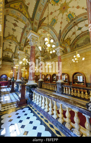 The beautiful interior with marble pillars and decorated ceiling at the Hungarian State Opera House in Budapest, Hungary. Stock Photo