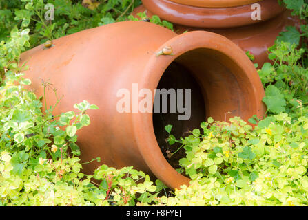 Decorative antique Amphora in the garden Stock Photo
