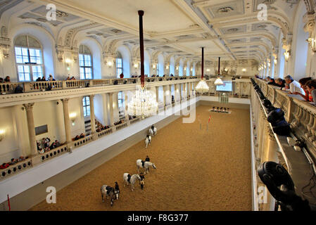 Morning training in the Spanish Riding School, in Hofburg palace, Austria, Vienna. Stock Photo