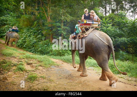 Thailand - elephant riding in tropical forest, Khao Lak National Park Stock Photo