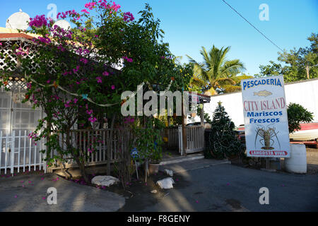 Fish market inside a home in the town of Juana Diaz, Puerto Rico. Caribbean Island. USA territory. Stock Photo