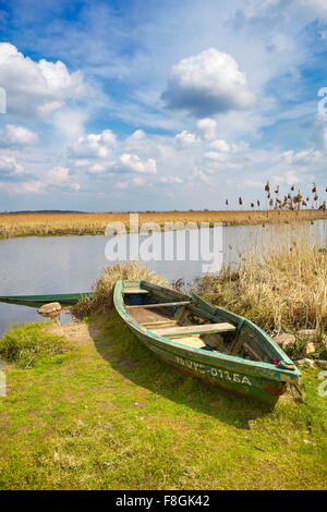 Spring landscape, Narew National Park, Poland Stock Photo