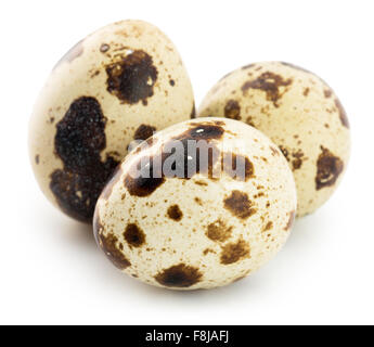 quail eggs isolated on a white background. Stock Photo