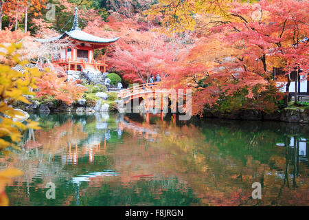 Kyoto, Japan - November 24, 2013: Autumn season,The leave change color of red in Temple japan Stock Photo