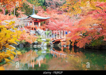 Kyoto, Japan - November 24, 2013: Autumn season,The leave change color of red in Temple japan Stock Photo