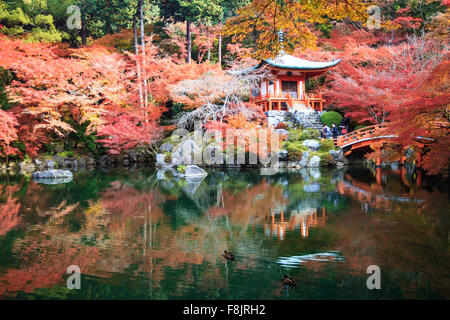 Kyoto, Japan - November 24, 2013: Autumn season,The leave change color of red in Temple japan Stock Photo