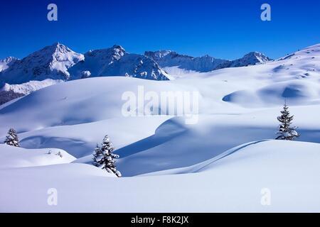 Deep snow covered landscape and fir trees, Arosa, Switzerland Stock Photo