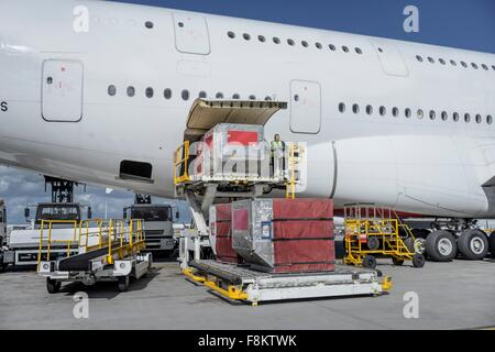 Ground crew loading freight and luggage into A380 aircraft Stock Photo ...