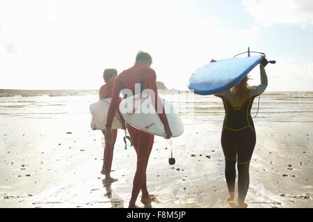 Group of surfers heading towards sea, carrying surfboards, rear view Stock Photo