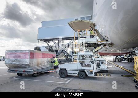 Loading of cargo to the freight aircraft Stock Photo - Alamy