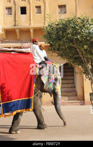 JAIPUR, INDIA - NOV 30: Elephant decorated with traditional painted patterns in the Amber Fort in Jaipur, with driver on it, on Stock Photo