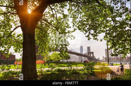 Brooklyn Bridge Park, New York, USA Stock Photo