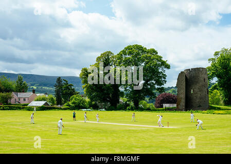 Cricket game in Crickhowell, Brecon Beacons, POWYS, Wales Stock Photo