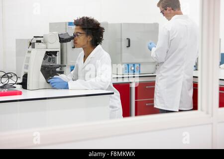 Scientist using microscope in laboratory Stock Photo