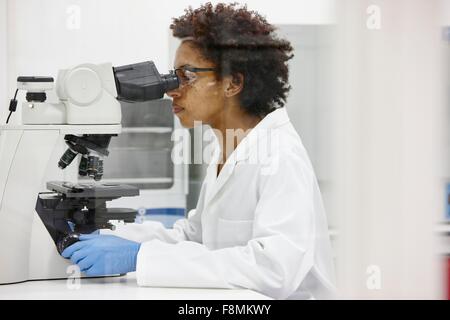 Scientist using microscope in laboratory Stock Photo