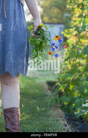 Mature woman standing in garden, holding wild flowers, mid section Stock Photo