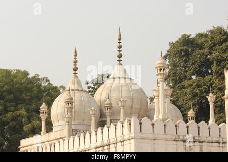 DELHI, INDIA - NOV 25: Architectural detail of Moti Masjid, in english Pearl Mosque, a white marble mosque inside the Red Fort Stock Photo