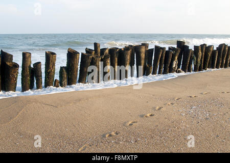 Footsteps in sand at a beach Stock Photo