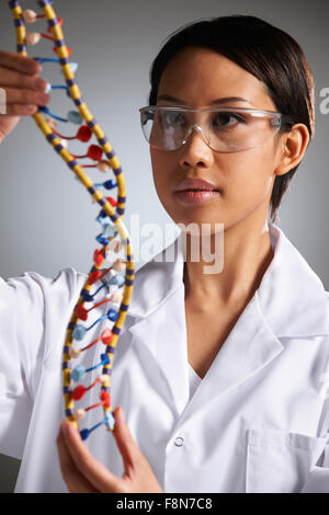 Female Scientist Studying Molecular Model In Shape Of Helix Stock Photo
