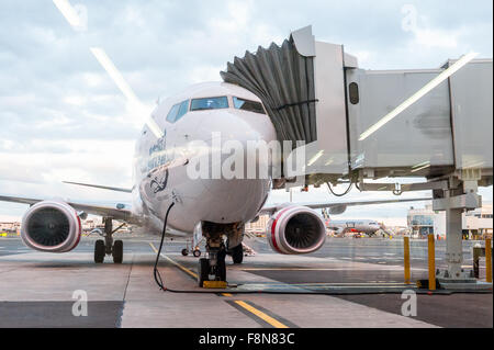 Airplane on the tarmac at Cairns Airport, Australia. Stock Photo