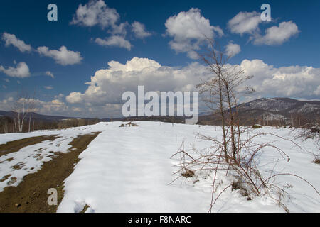 Early spring in the Ukrainian Carpathians Stock Photo