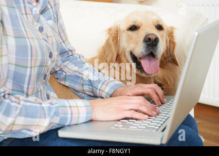 Dog Sitting Next To Owner Using Laptop Stock Photo