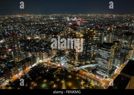 A panoramic city scape of Tokyo, Japan Stock Photo