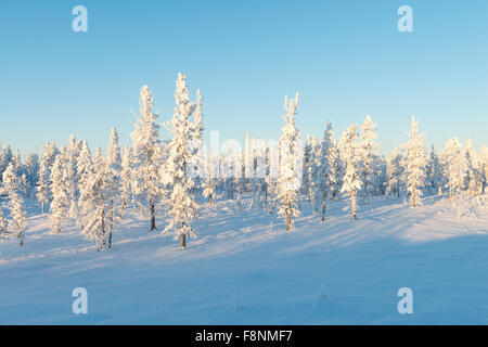 beautiful landscapes of the wild nature of the Yamal Peninsula, Russia Stock Photo