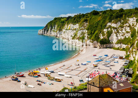 Overlooking the beach and cliffs at Beer in Lyme Bay Devon England UK Europe Stock Photo