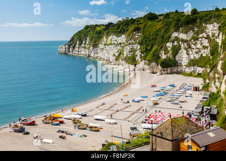 Overlooking the beach and cliffs at Beer in Lyme Bay Devon England UK Europe Stock Photo