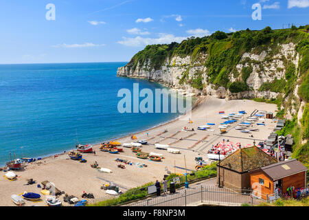 Overlooking the beach and cliffs at Beer in Lyme Bay Devon England UK Europe Stock Photo