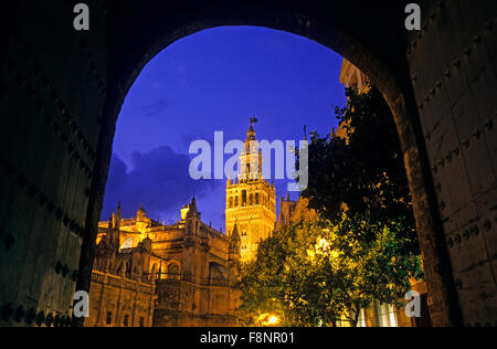 Cathedral as seen from the Royal Alcazar (Courtyard of Banderas). Seville, Andalusia, Spain. Stock Photo